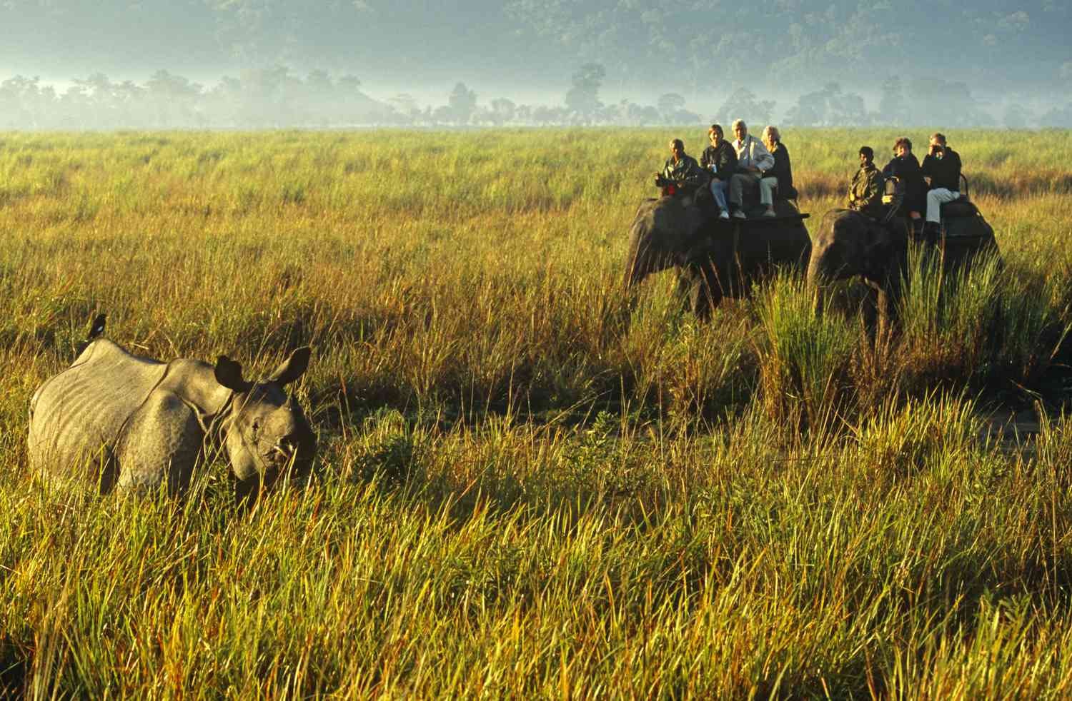 Kaziranga Meghalaya