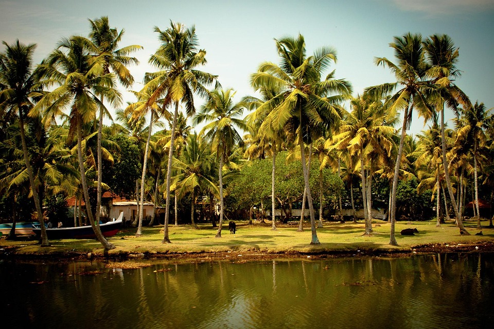 Kaziranga Meghalaya