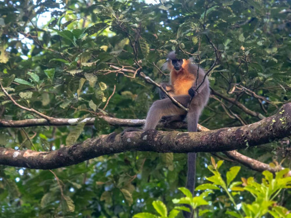 Nameri National Park
